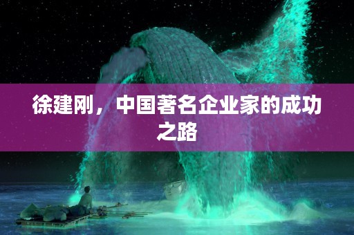 徐建刚，中国著名企业家的成功之路