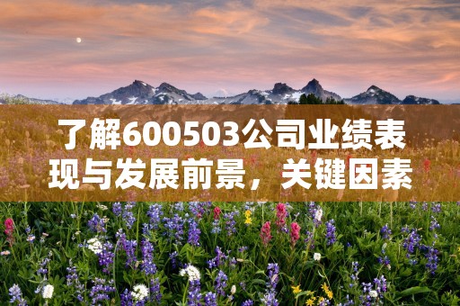 了解600503公司业绩表现与发展前景，关键因素揭秘