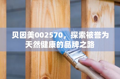 贝因美002570，探索被誉为天然健康的品牌之路