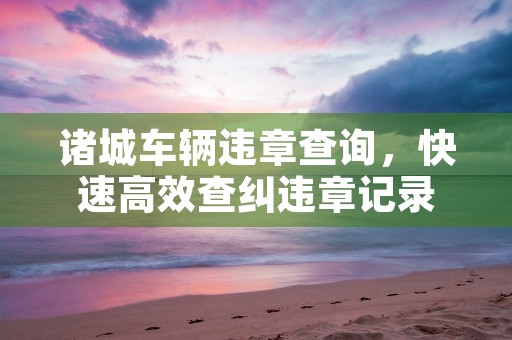 诸城车辆违章查询，快速高效查纠违章记录