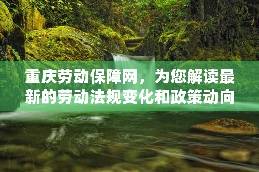 重庆劳动保障网，为您解读最新的劳动法规变化和政策动向