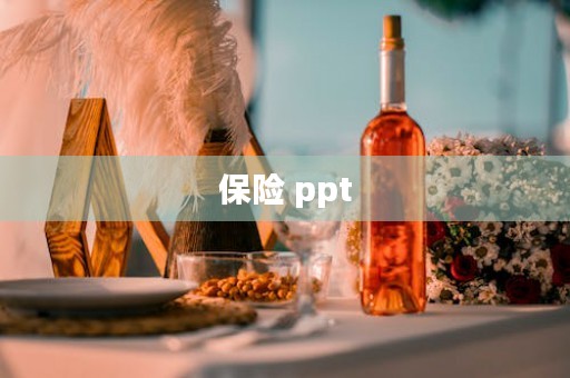 保险 ppt