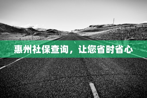 惠州社保查询，让您省时省心