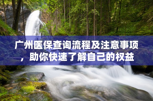 广州医保查询流程及注意事项，助你快速了解自己的权益