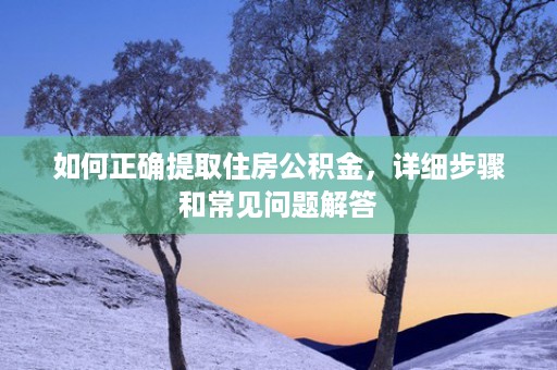 如何正确提取住房公积金，详细步骤和常见问题解答