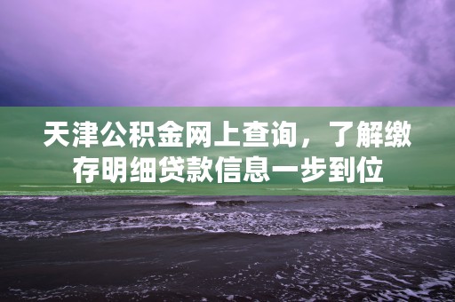 天津公积金网上查询，了解缴存明细贷款信息一步到位