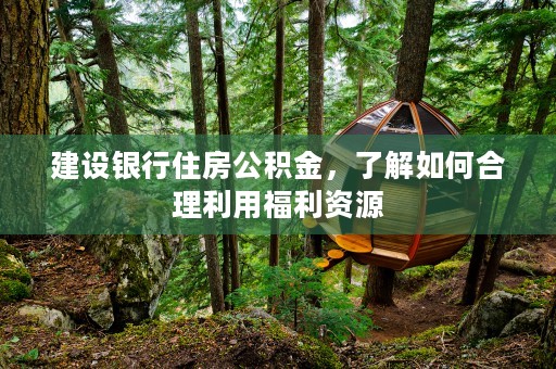 建设银行住房公积金，了解如何合理利用福利资源