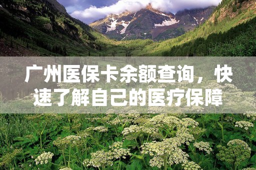 广州医保卡余额查询，快速了解自己的医疗保障情况