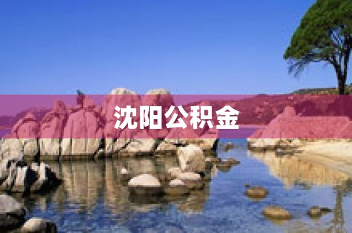 沈阳公积金