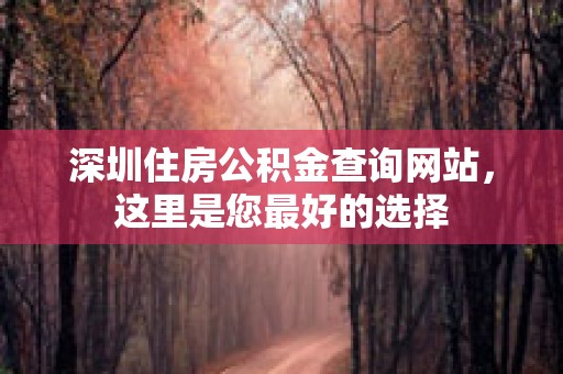 深圳住房公积金查询网站，这里是您最好的选择