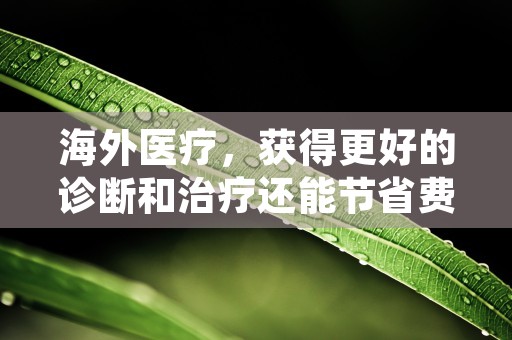 海外医疗，获得更好的诊断和治疗还能节省费用