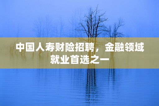 中国人寿财险招聘，金融领域就业首选之一