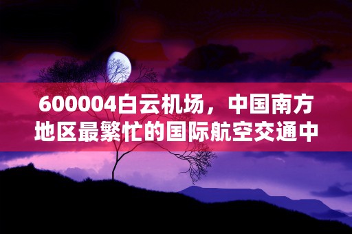 600004白云机场，中国南方地区最繁忙的国际航空交通中心