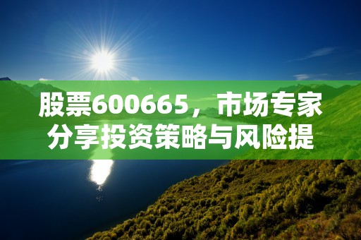 股票600665，市场专家分享投资策略与风险提示