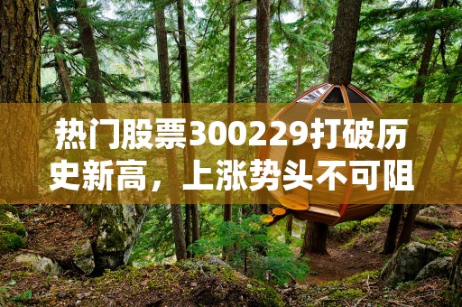 热门股票300229打破历史新高，上涨势头不可阻挡