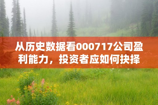 从历史数据看000717公司盈利能力，投资者应如何抉择