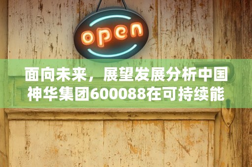 面向未来，展望发展分析中国神华集团600088在可持续能源领域的前景