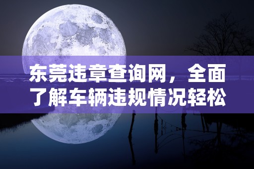 东莞违章查询网，全面了解车辆违规情况轻松避免罚款处罚