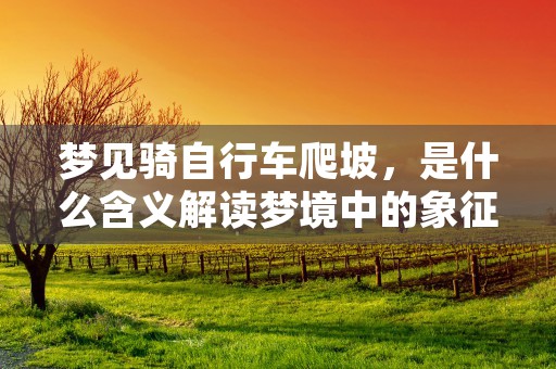 生辰八字起名网，为您的宝贝取个吉利又有寓意的好名