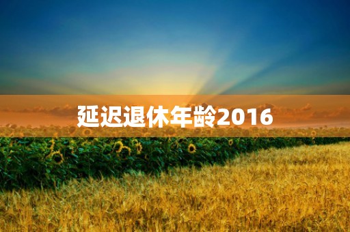 延迟退休年龄2016