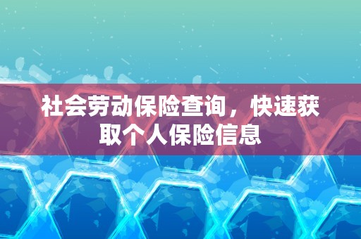 社会劳动保险查询，快速获取个人保险信息