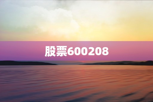 股票600208