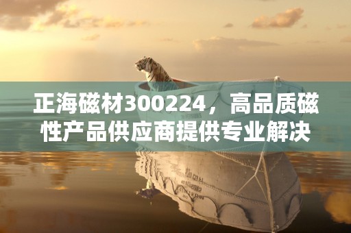 正海磁材300224，高品质磁性产品供应商提供专业解决方案