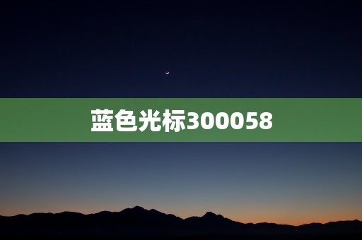 蓝色光标300058