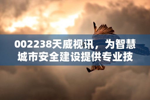 002238天威视讯，为智慧城市安全建设提供专业技术支持