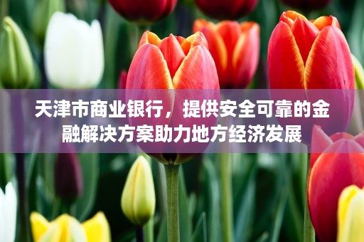 天津市商业银行，提供安全可靠的金融解决方案助力地方经济发展