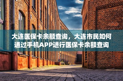 大连医保卡余额查询，大连市民如何通过手机APP进行医保卡余额查询