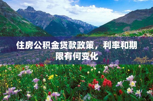 住房公积金贷款政策，利率和期限有何变化