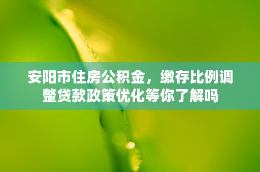 安阳市住房公积金，缴存比例调整贷款政策优化等你了解吗