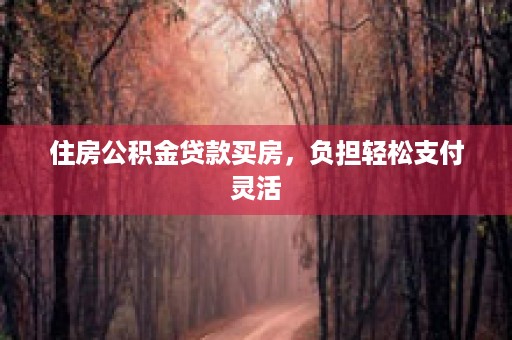 住房公积金贷款买房，负担轻松支付灵活