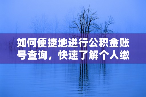 如何便捷地进行公积金账号查询，快速了解个人缴存情况