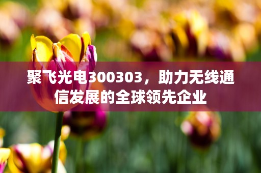 聚飞光电300303，助力无线通信发展的全球领先企业