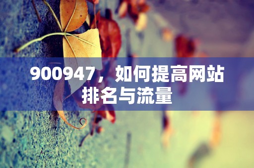 900947，如何提高网站排名与流量