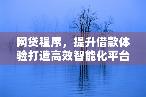 网贷程序，提升借款体验打造高效智能化平台