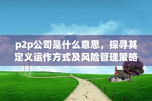 p2p公司是什么意思，探寻其定义运作方式及风险管理策略