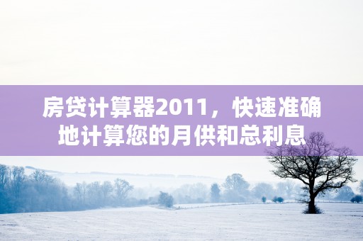 房贷计算器2011，快速准确地计算您的月供和总利息