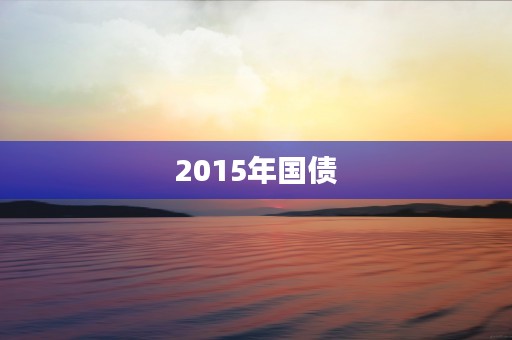 2015年国债