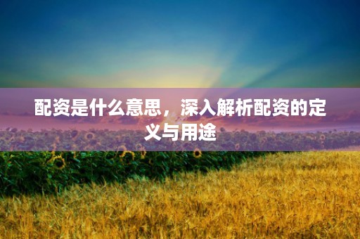 配资是什么意思，深入解析配资的定义与用途