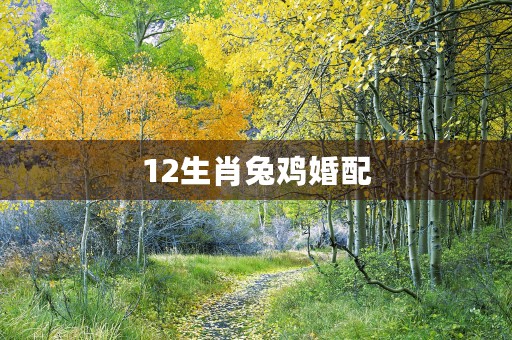 12生肖龙的钩法，让你在钓鱼中轻松出类拔萃