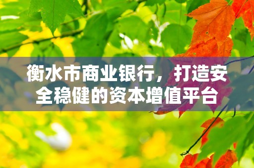 衡水市商业银行，打造安全稳健的资本增值平台