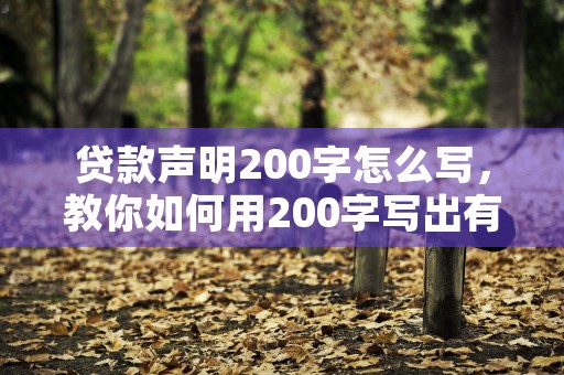 贷款声明200字怎么写，教你如何用200字写出有效的贷款声明