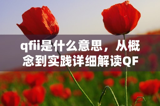 qfii是什么意思，从概念到实践详细解读QFII的含义及其重要性