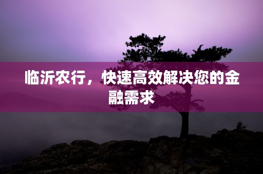 临沂农行，快速高效解决您的金融需求