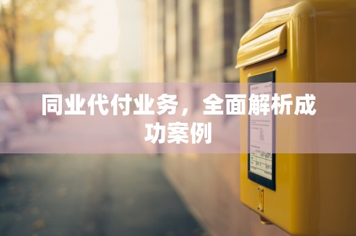 同业代付业务，全面解析成功案例