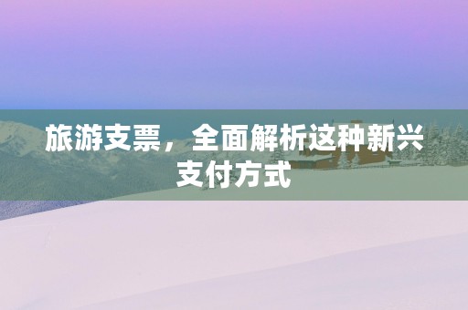 旅游支票，全面解析这种新兴支付方式