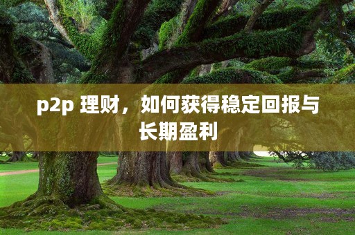 p2p 理财，如何获得稳定回报与长期盈利